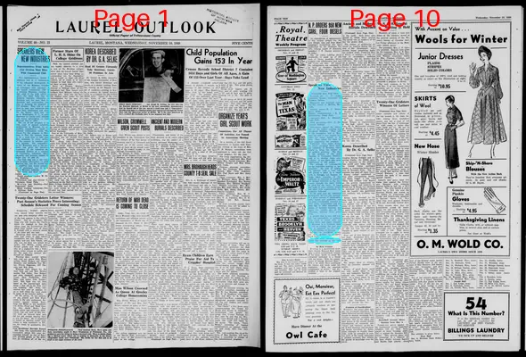 Page thumbnail for Laurel Outlook