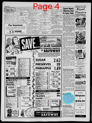 Page thumbnail for Laurel Outlook