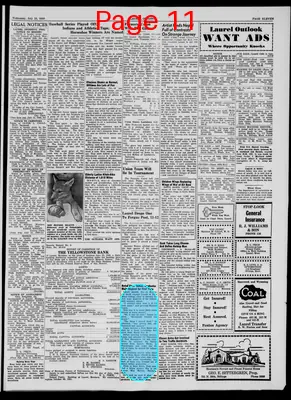 Page thumbnail for Laurel Outlook
