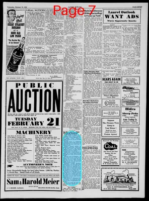 Page thumbnail for Laurel Outlook