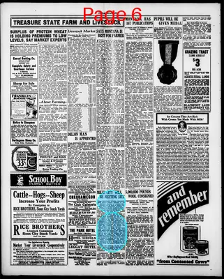 Page thumbnail for The Poplar Standard