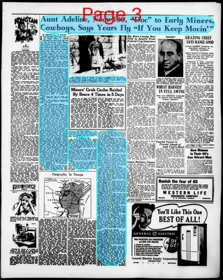 Page thumbnail for The Poplar Standard