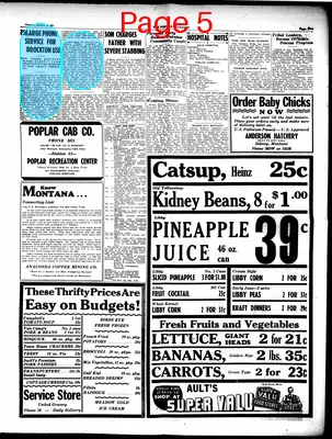 Page thumbnail for The Poplar Standard