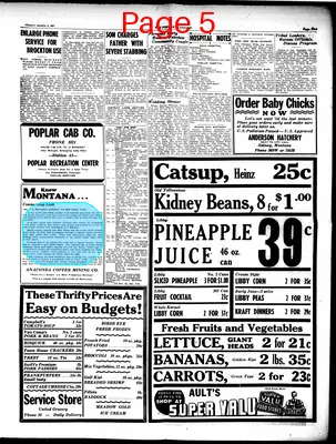 Page thumbnail for The Poplar Standard
