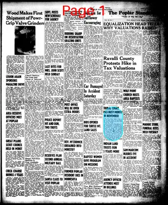 Page thumbnail for The Poplar Standard