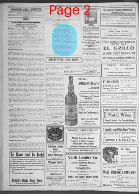 Page thumbnail for Tonopah Daily Bonanza