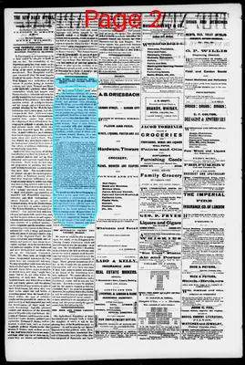 Page thumbnail for The New Daily Appeal