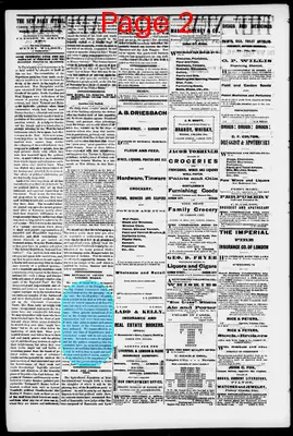 Page thumbnail for The New Daily Appeal
