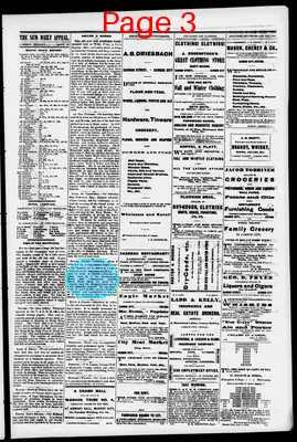 Page thumbnail for The New Daily Appeal