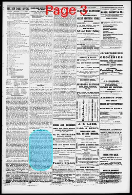 Page thumbnail for The New Daily Appeal