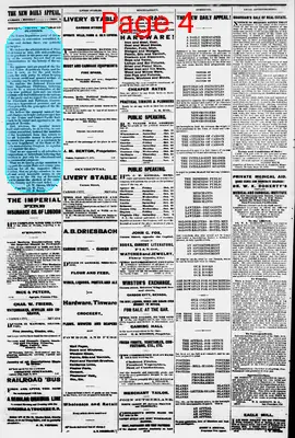 Page thumbnail for The New Daily Appeal