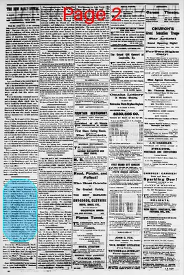 Page thumbnail for The New Daily Appeal