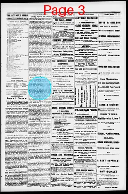 Page thumbnail for The New Daily Appeal