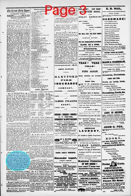 Page thumbnail for Carson Daily Appeal