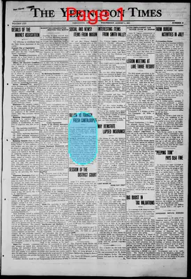 Page thumbnail for Yerington Times