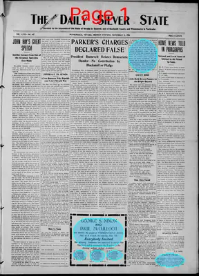 Page thumbnail for The Daily Silver State
