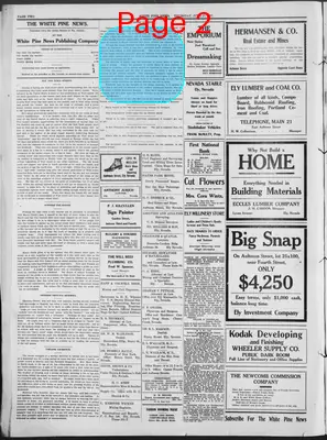 Page thumbnail for The White Pine News