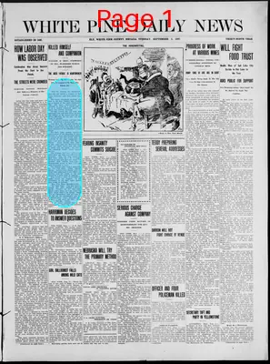 Page thumbnail for The White Pine News