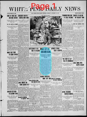Page thumbnail for The White Pine News