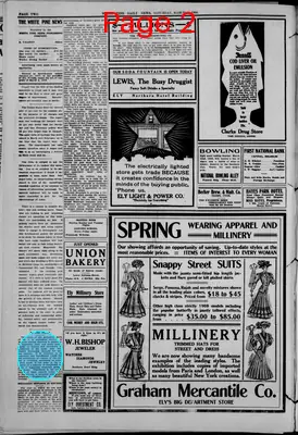 Page thumbnail for The White Pine News