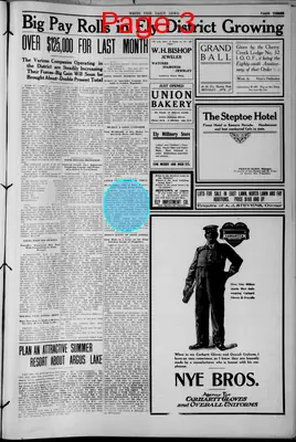 Page thumbnail for The White Pine News