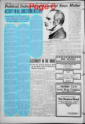 Page thumbnail for The White Pine News