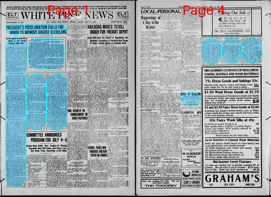 Page thumbnail for The White Pine News