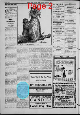 Page thumbnail for The White Pine News