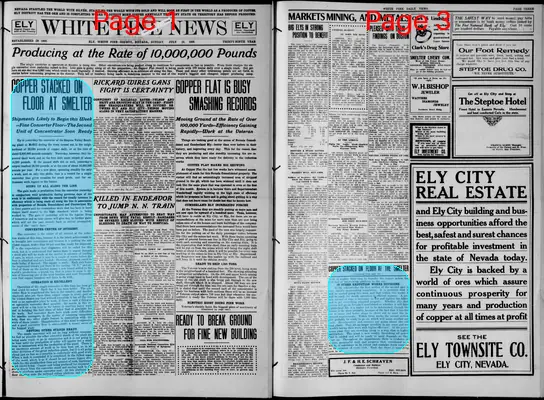 Page thumbnail for The White Pine News