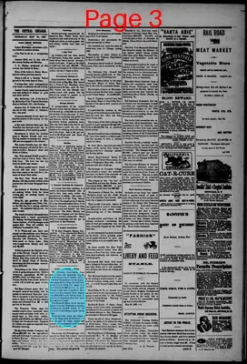 Page thumbnail for The Central Nevadan