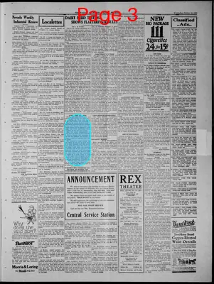 Page thumbnail for The Fallon Standard