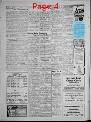 Page thumbnail for The Fallon Standard