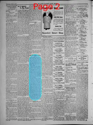 Page thumbnail for The Fallon Standard