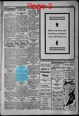 Page thumbnail for The Silver State News