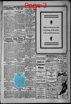 Page thumbnail for The Silver State News