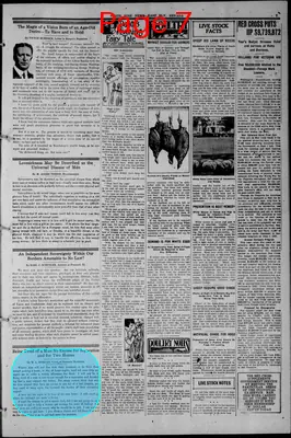 Page thumbnail for White Pine News