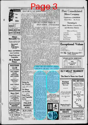 Page thumbnail for White Pine News
