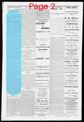 Page thumbnail for Morning Appeal