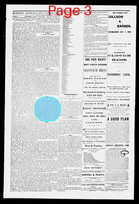 Page thumbnail for Morning Appeal