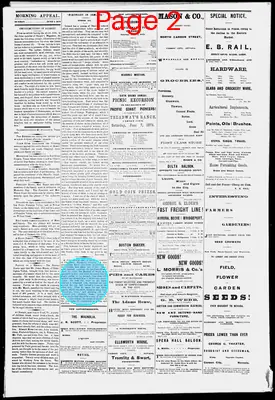 Page thumbnail for Morning Appeal