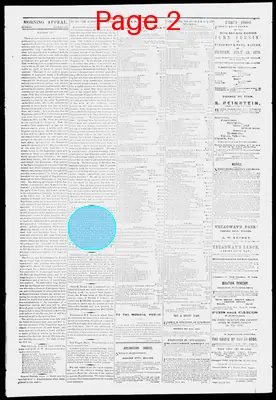Page thumbnail for Morning Appeal