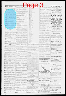 Page thumbnail for Morning Appeal