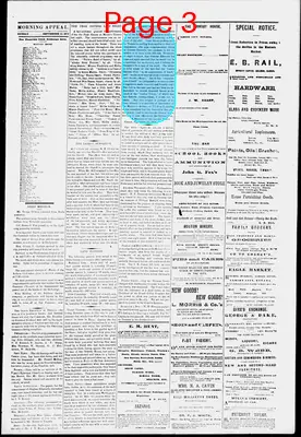 Page thumbnail for Morning Appeal