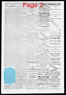 Page thumbnail for Morning Appeal