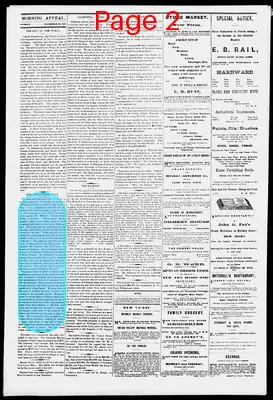 Page thumbnail for Morning Appeal