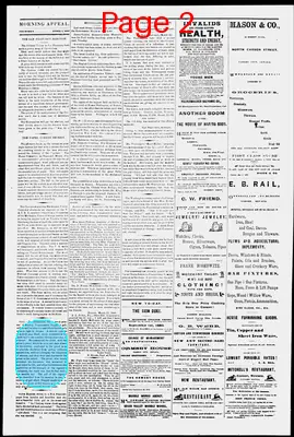 Page thumbnail for Morning Appeal