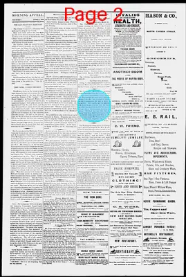 Page thumbnail for Morning Appeal