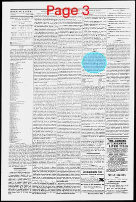Page thumbnail for Morning Appeal