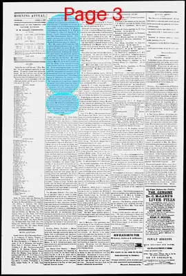Page thumbnail for Morning Appeal