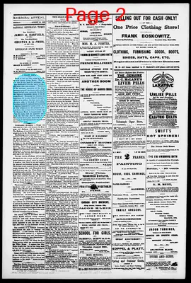 Page thumbnail for Morning Appeal